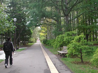 e0000872_9425441.jpg