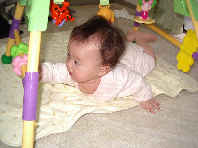 e0089272_959459.jpg