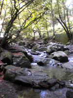 e0030085_21144978.jpg