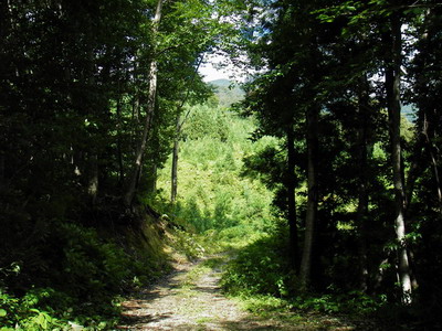 a0043193_22503619.jpg