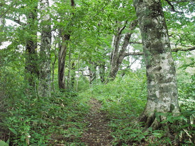 a0043193_22521213.jpg