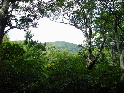 a0043193_22534756.jpg
