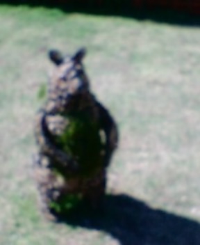 e0021096_2040198.jpg