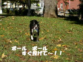 e0039002_12381995.jpg