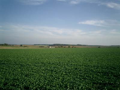 e0038811_13076.jpg