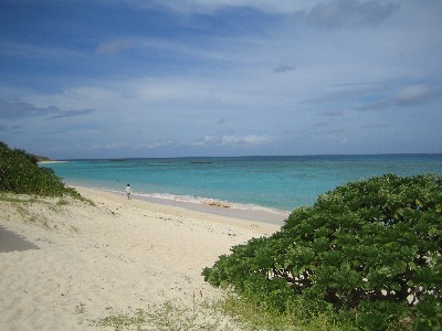 c0000816_21214680.jpg
