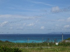 c0000816_22102098.jpg