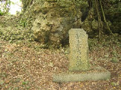 c0000816_22104745.jpg