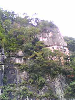 b0055128_0123441.jpg