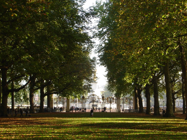 e0070728_2514614.jpg