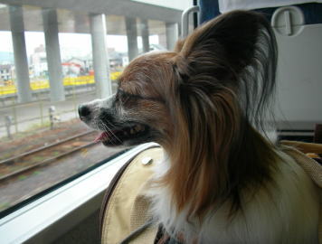 c0038434_19144441.jpg