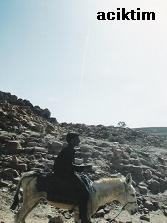 e0009838_16145011.jpg