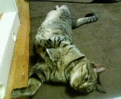 c0025840_16392682.jpg
