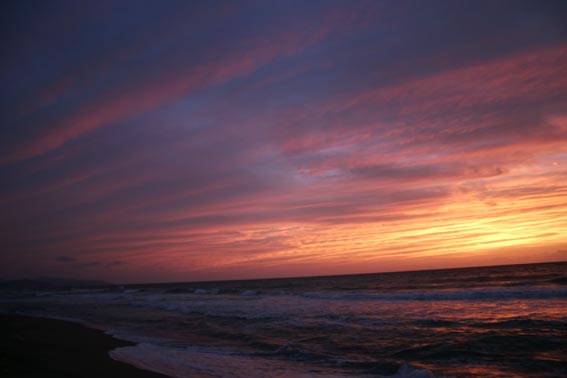 d0029746_2324461.jpg