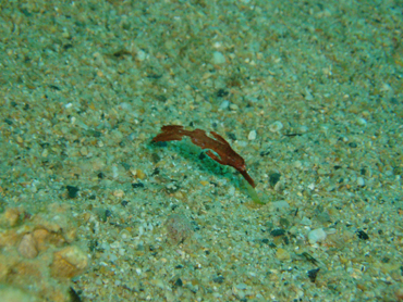 d0065247_201234100.jpg