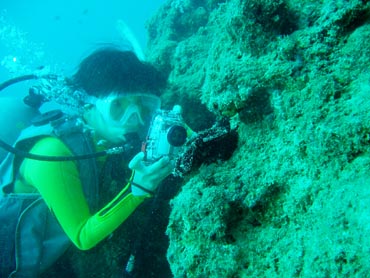 d0065247_2071650.jpg