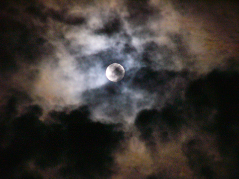 a0024250_081693.jpg