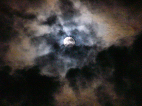 a0024250_085518.jpg