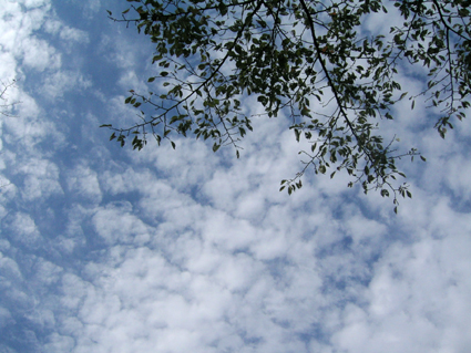 c0069552_12252135.jpg