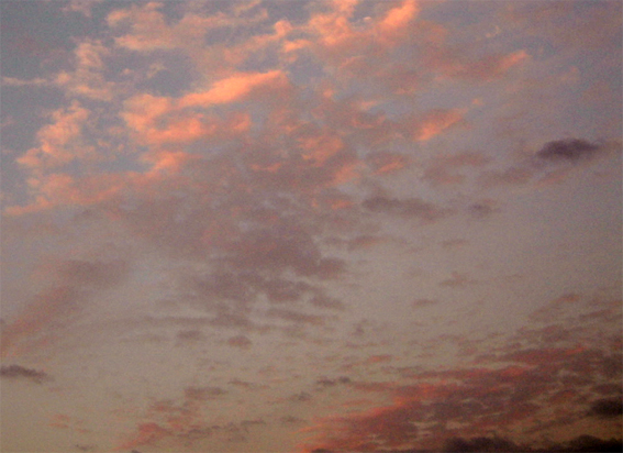 c0069552_847415.jpg