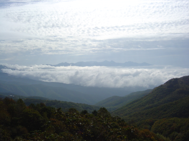 b0066153_22174762.jpg