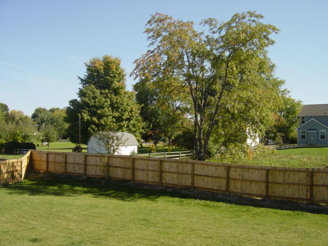 e0029853_0505988.jpg