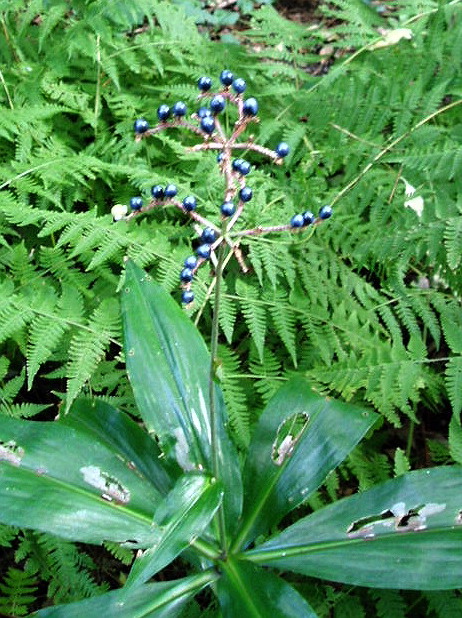 e0064158_0141043.jpg
