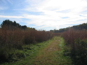 e0059572_9543384.jpg