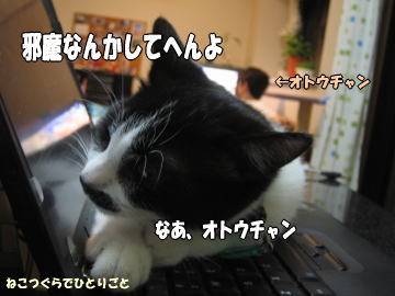 b0041182_1003482.jpg