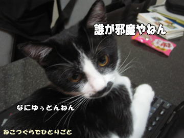 b0041182_9493830.jpg