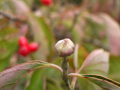 c0045882_21513881.jpg