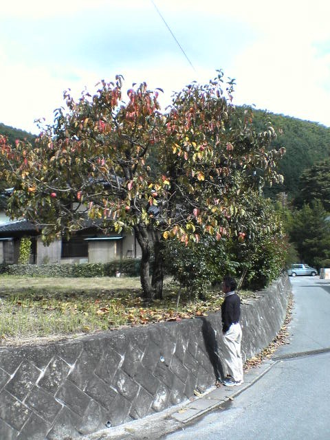 c0034393_14344253.jpg