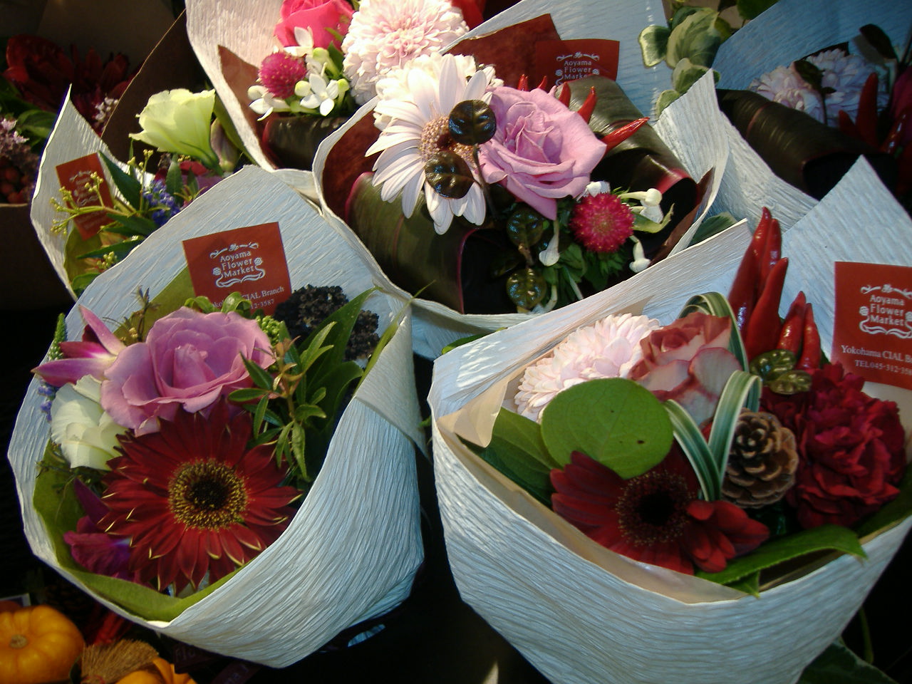 e0026795_63580.jpg