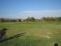 b0043897_441779.jpg