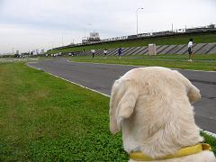 a0039299_1336180.jpg