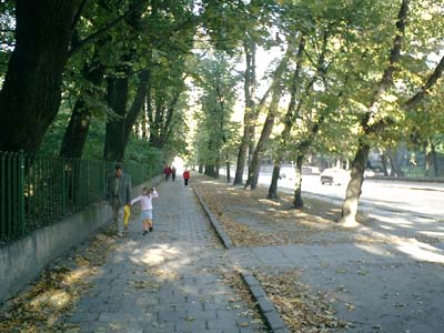 e0038811_4335122.jpg