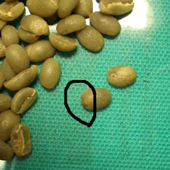 c0036617_13241257.jpg