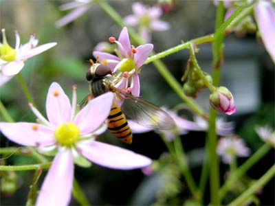 d0029829_0394570.jpg