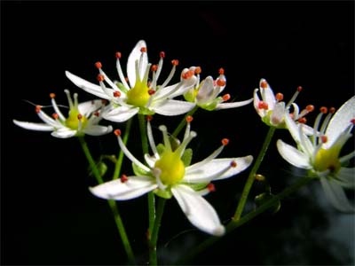 d0029829_0403921.jpg