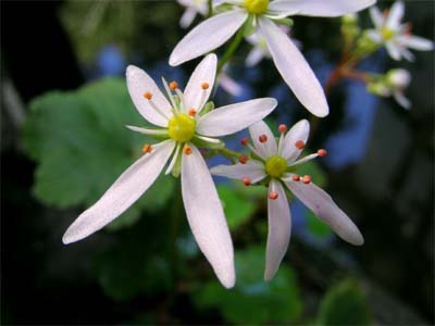 d0029829_0411298.jpg