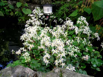d0029829_0423055.jpg