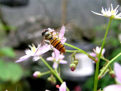 d0029829_18492244.jpg