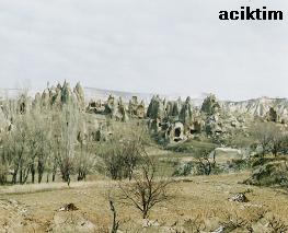 e0009838_15292943.jpg