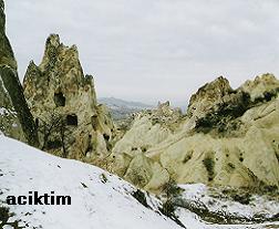 e0009838_15294877.jpg