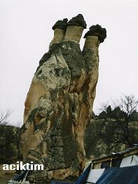 e0009838_1530502.jpg