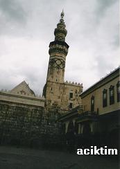 e0009838_1663280.jpg