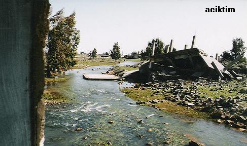 e0009838_1682247.jpg