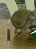 c0065643_14202745.jpg