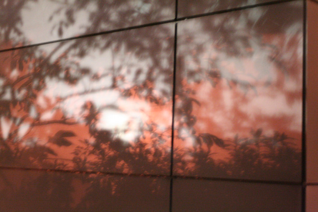 e0046147_190111.jpg