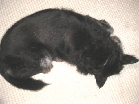 d0006253_0502151.jpg